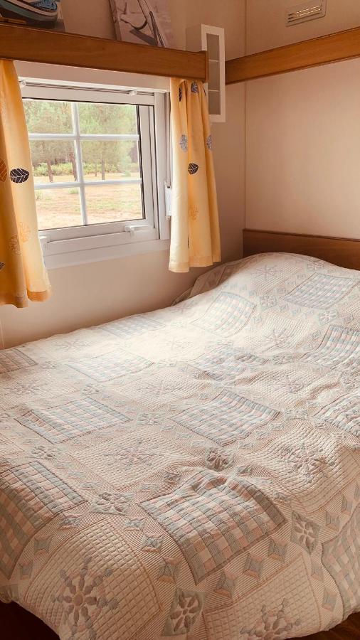 Petite Maison Dans La Prairie Cabanac-et-Villagrains Eksteriør bilde